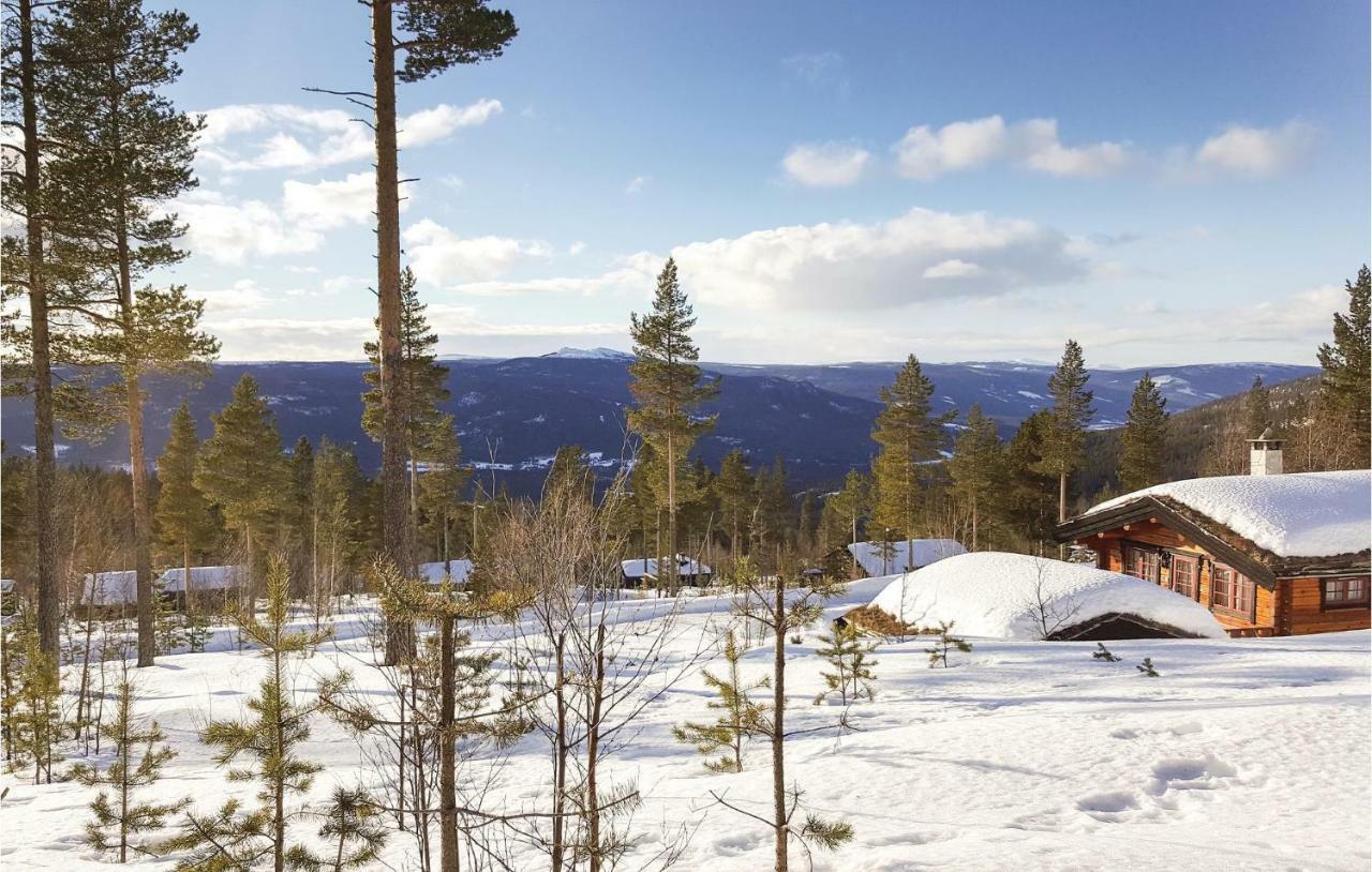 Cozy Home In Rendalen With House A Mountain View Svarstad  Экстерьер фото